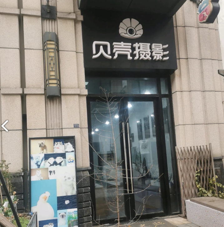贝壳摄影的图标
