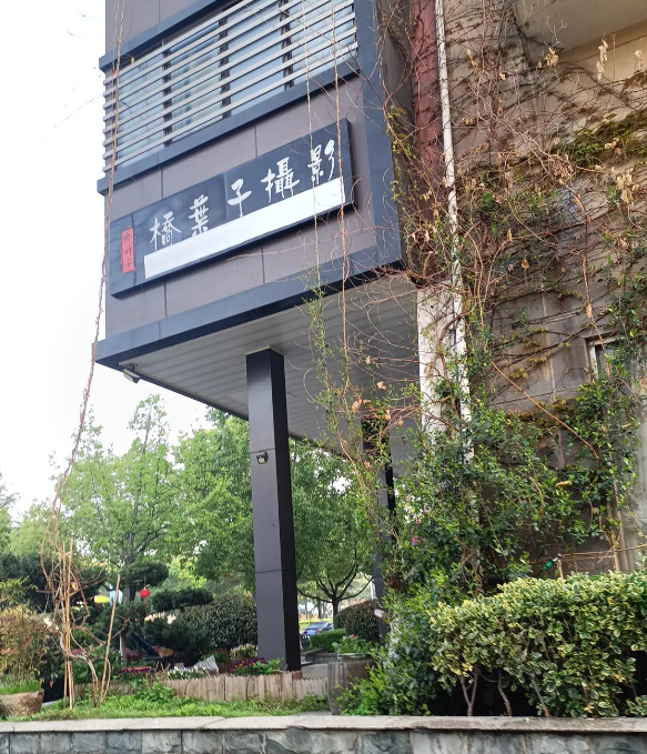 桥叶子摄影工作室 的图标