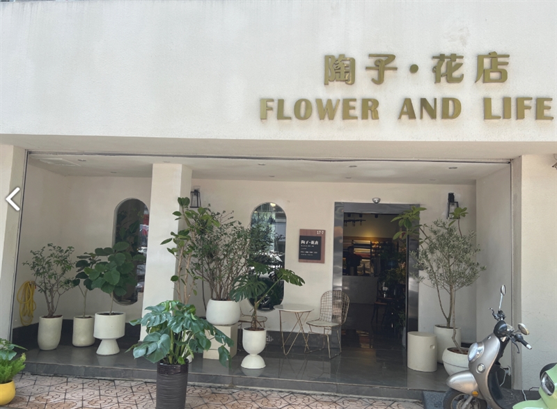 陶子花店(钟楼店)  的图标