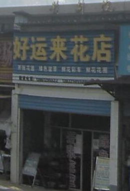 好运来花店 的图标