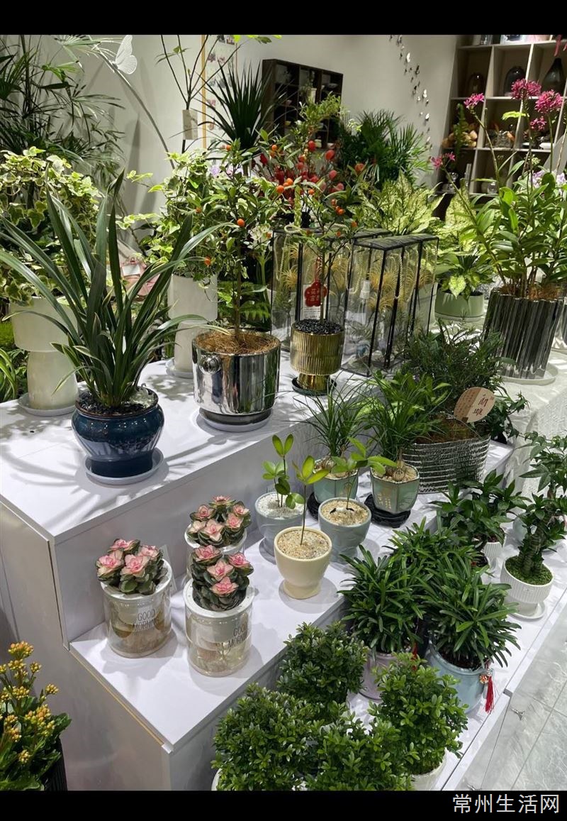 花店转让